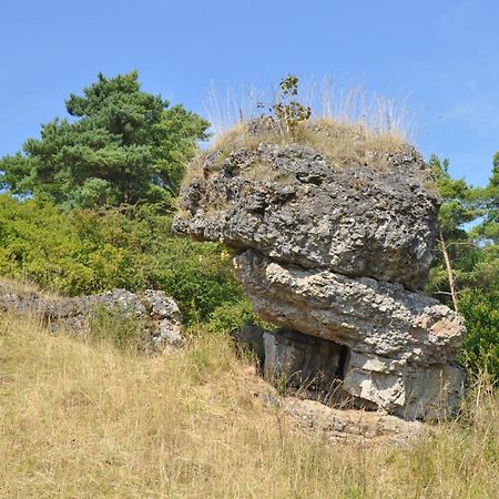 Apartmán Haus Hippelstein Gönnersdorf Exteriér fotografie